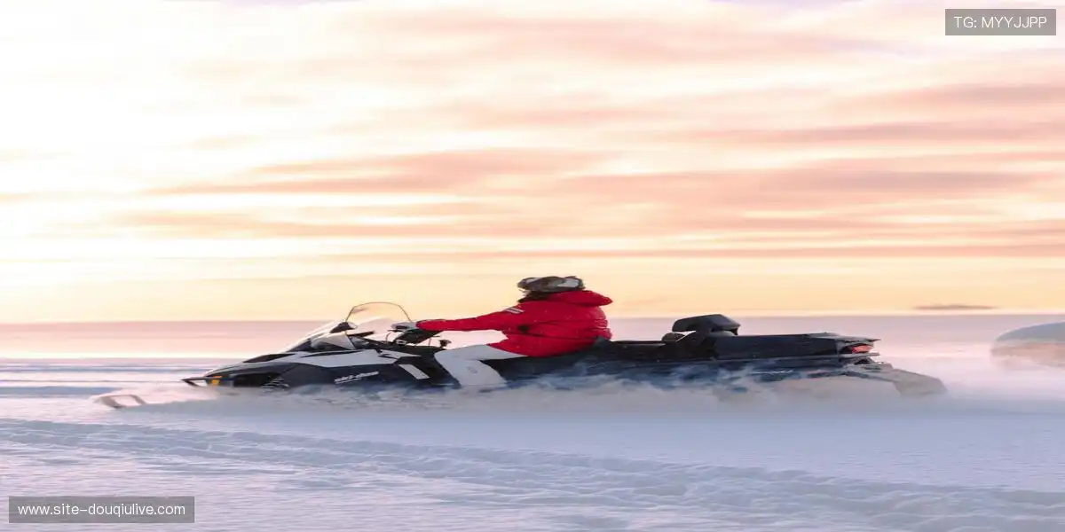 龙腾虎跃，执掌乾坤！🏁